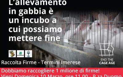 Petizione online su www.endthecageage.eu