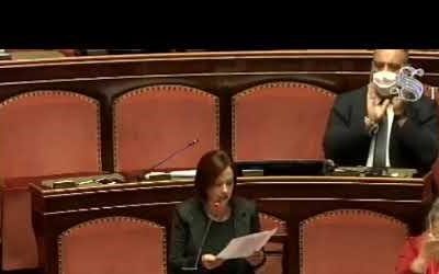 Approvato al Senato il decreto legge sulla scuola