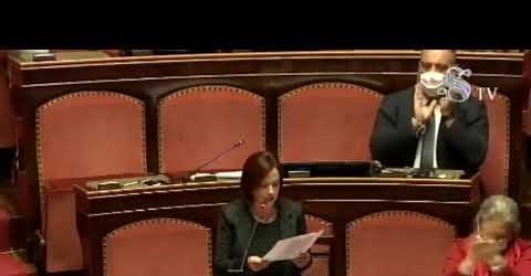 Approvato al Senato il decreto legge sulla scuola