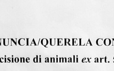 Denunziato il torturatore ed uccisore di un cane a Siracusa