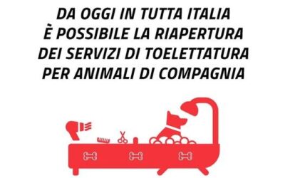 Riapertura dei servizi di toelettatura animali da compagnia