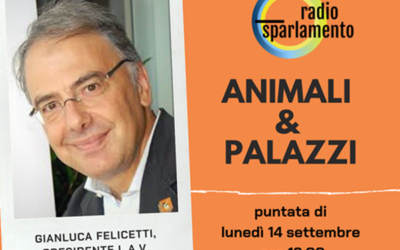 Radio sparlamento: Animali&Palazzi del 14 settembre