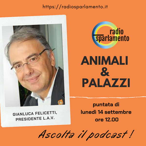 Radio sparlamento: Animali&Palazzi del 14 settembre