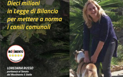 Dieci milioni in Legge di Bilancio per mettere a norma i canili municipali