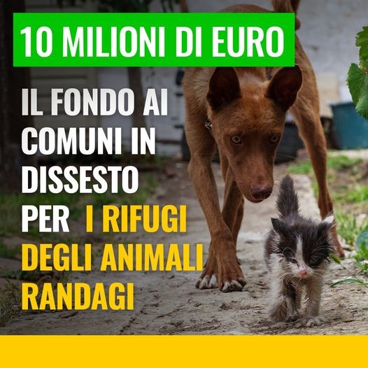 10 milioni ai Comuni per i rifugi degli animali randagi