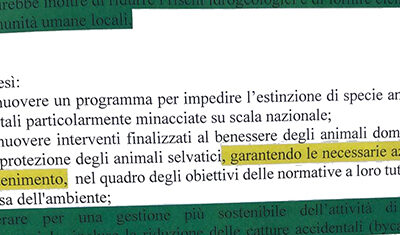 Approvato in Commissione Ambiente parere che garantisca azioni di contenimento a tutela dei diritti degli animali