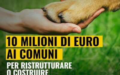 Via al bando da 10 milioni per canili a norma nei Comuni in difficoltà finanziarie