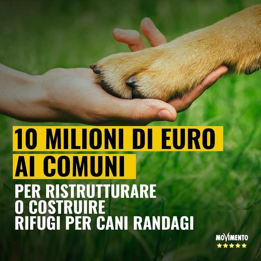 Via al bando da 10 milioni per canili a norma nei Comuni in difficoltà finanziarie