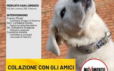 Palermo animalista: Incontro col candidato Sindaco Di Miceli