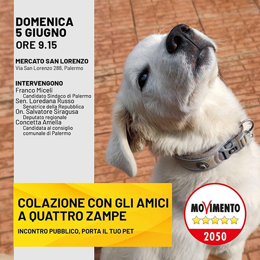 Palermo animalista: Incontro col candidato Sindaco Di Miceli