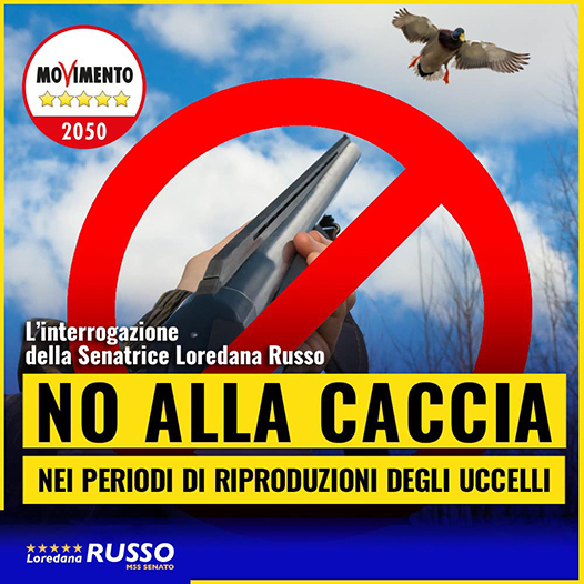 NO ALLA CACCIA nel periodo di riproduzione degli uccelli: mia interrogazione parlamentare